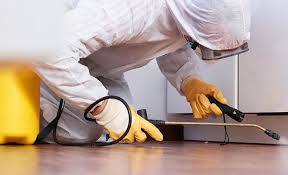 Best Termite Inspection and Treatment  in Chesnut Hill, PA